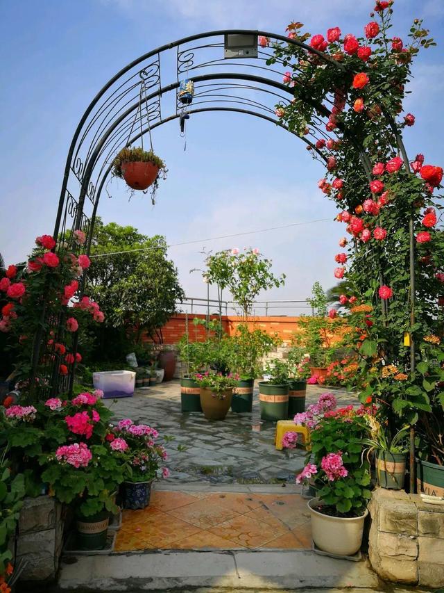 花一年在顶楼打造「梦幻小花园」 「花卉果菜通通有」大人小孩如徜徉